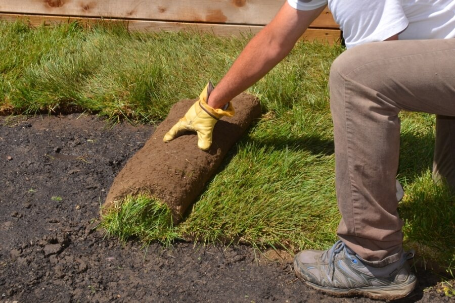 DIY Landscaping