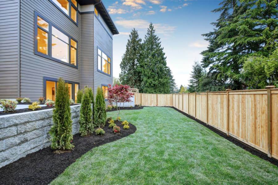 Landscape Design Maple