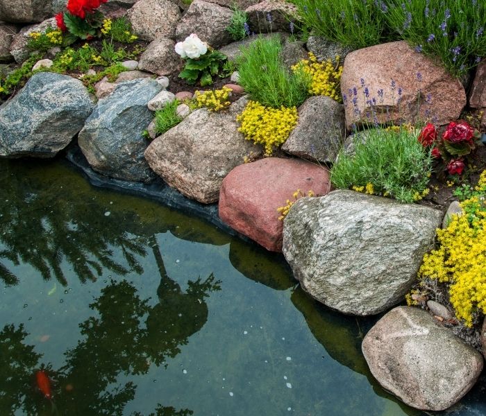 Small Pond Construction Contractor GTA